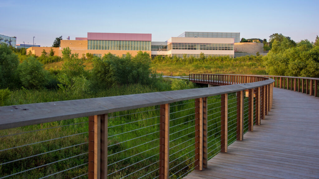 Wooden bridge surrounded by green grass and plants leads to a building in the distance.